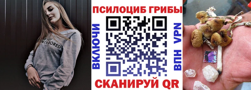 Галлюциногенные грибы Magic Shrooms  Бугуруслан 